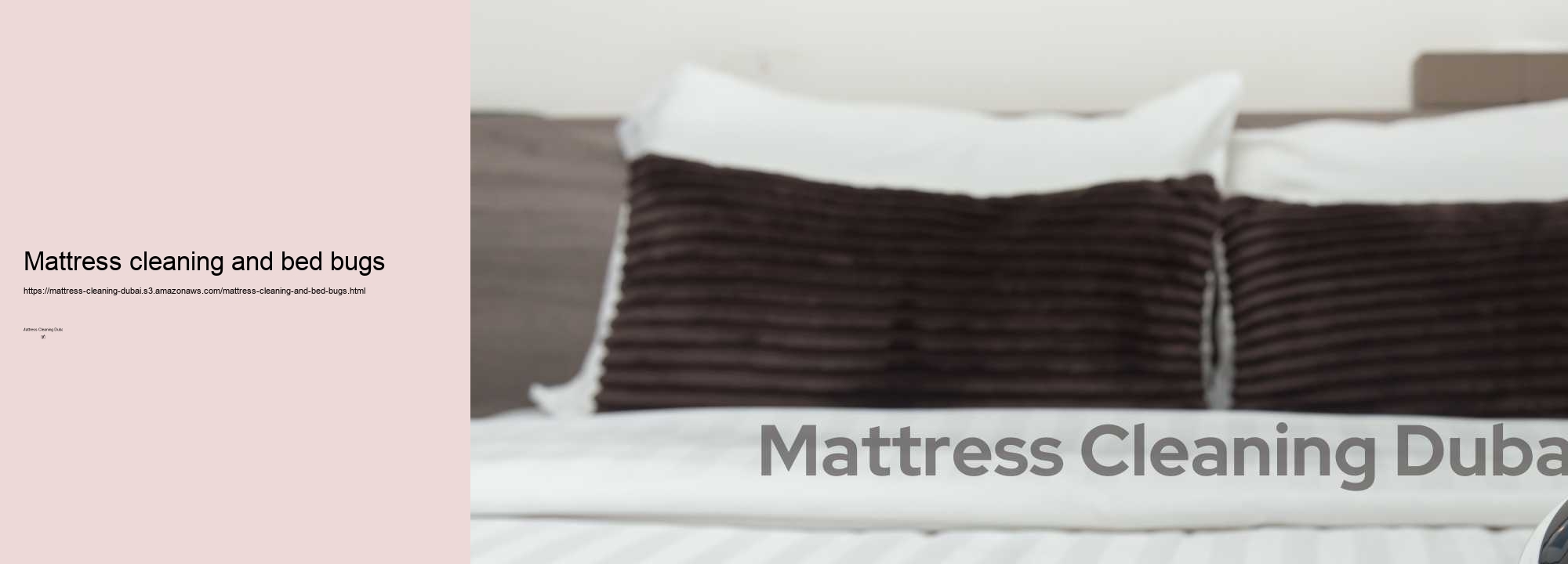 Mattress cleaning and bed bugs